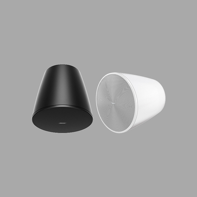 BOSE DesignMax DM10P-SUB 垂吊扬声器