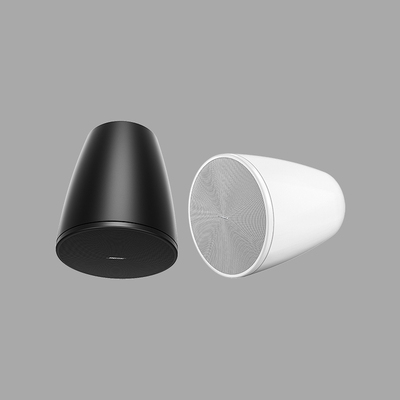 BOSE DesignMax DM6PE 垂吊扬声器