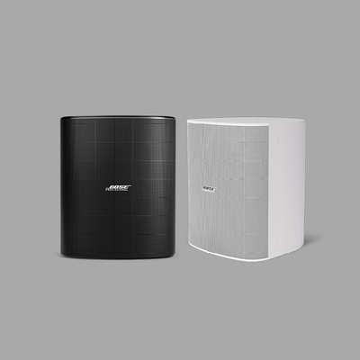 BOSE DesignMax &nbsp;DM12SE &nbsp;壁装扬声器
