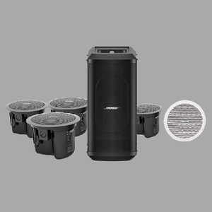 家庭影院扬声器系统 BOSE Professional 550