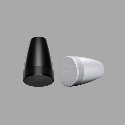 BOSE DesignMax DML88P 垂吊扬声器