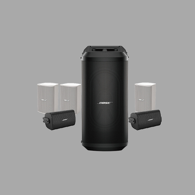 家庭影院扬声器系统 &nbsp;BOSE Professional 730