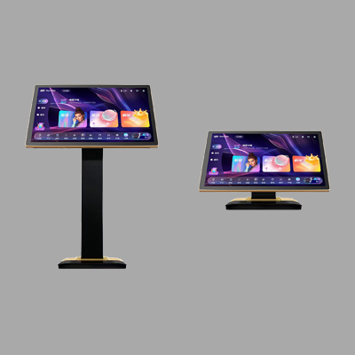 雷客 唱享3.0 （全视角）2T/4T/6T