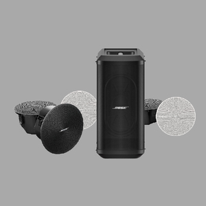 家庭影院扬声器系统 BOSE Professional 750