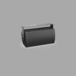 ArenaMatch AMU108-120 紧凑型高性能扬声器